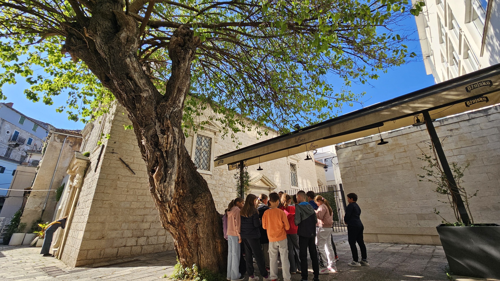 DJEČJA ZELENA TURA S UČENICIMA OŠ FAUSTA VRANČIĆA PO PETI PUT