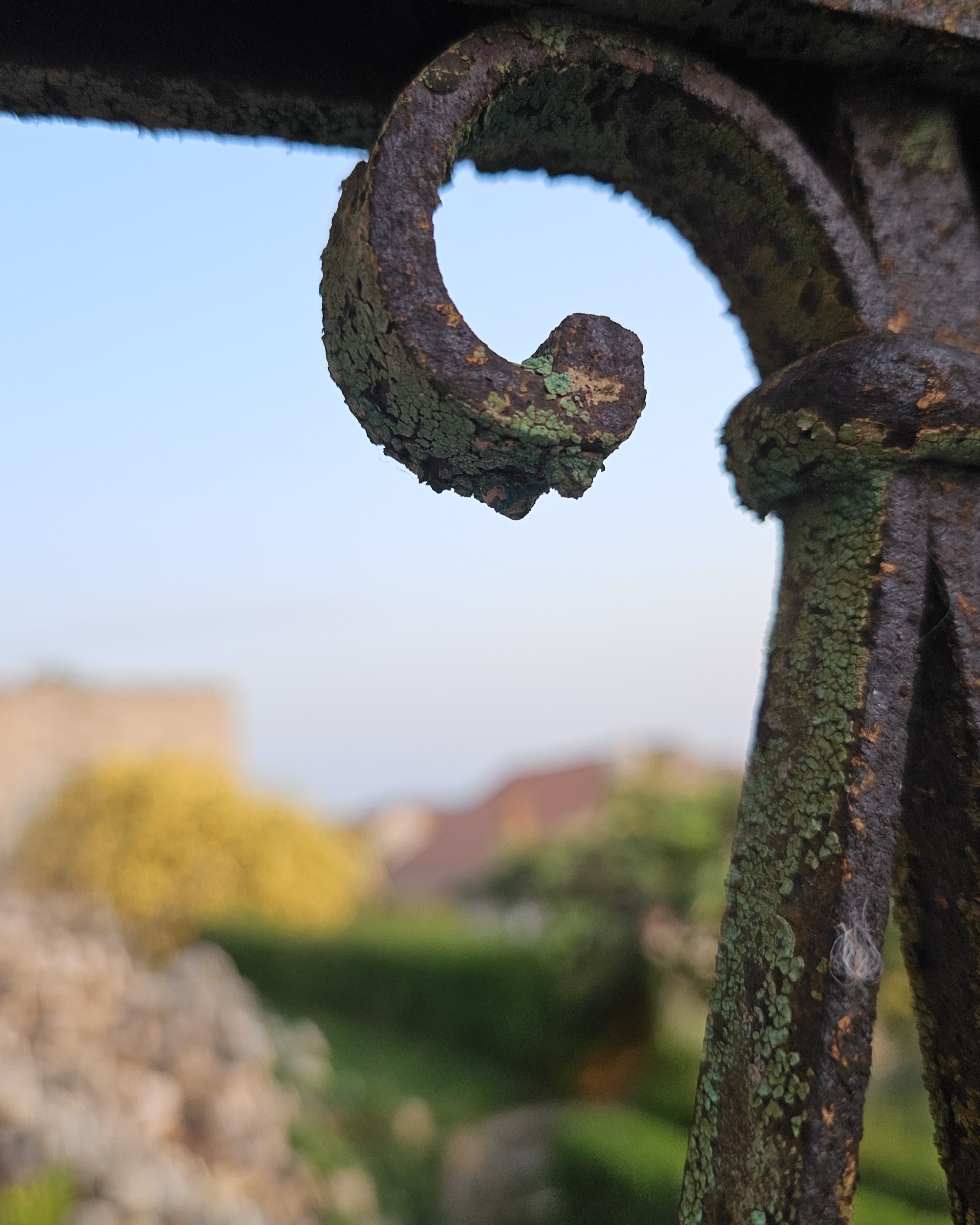 KAKO SMO OTKRIVALI SKRIVENE VRTOVE KAMENOG GRADA