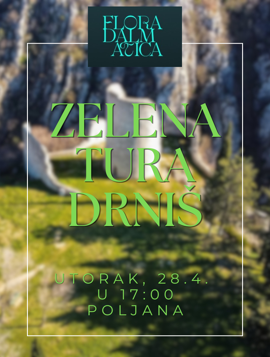 ZELENA TURA U DRNIŠU