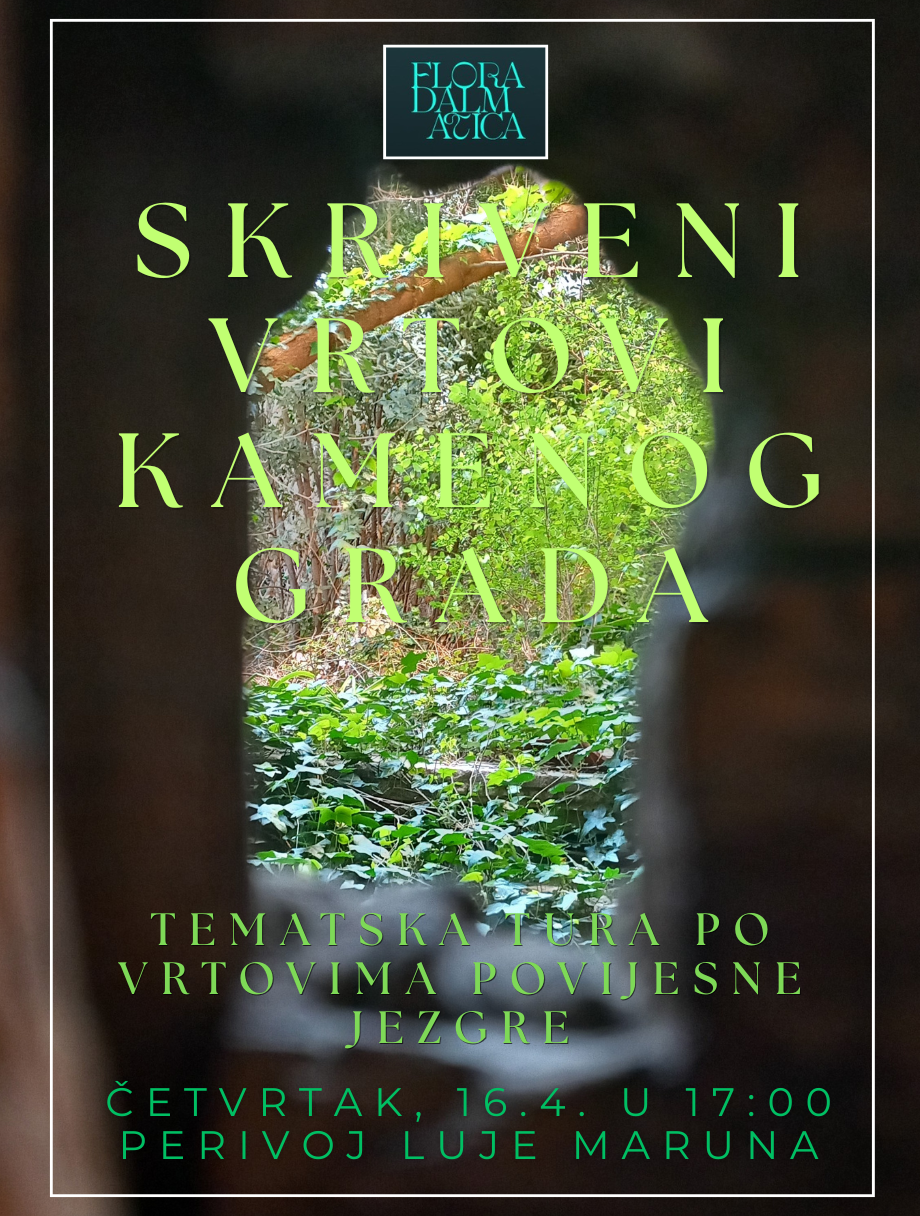TURA SKRIVENI VRTOVI KAMENOG GRADA - PREMIJERNO NA FESTIVALU PRIRODE FLORA DALMATICA